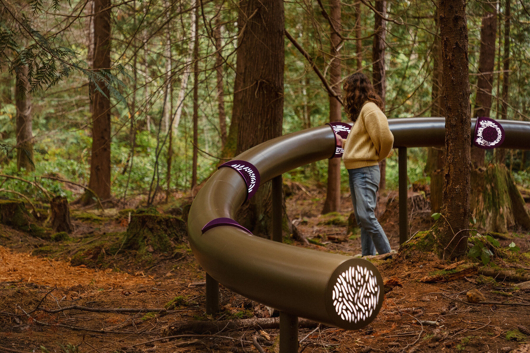 dailytouslesjours-installation-human-voices-forest-ecologies-canada-designboom-large02