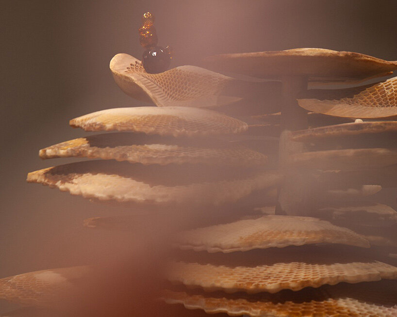 designboom radar: exhibitions to see around the world this december