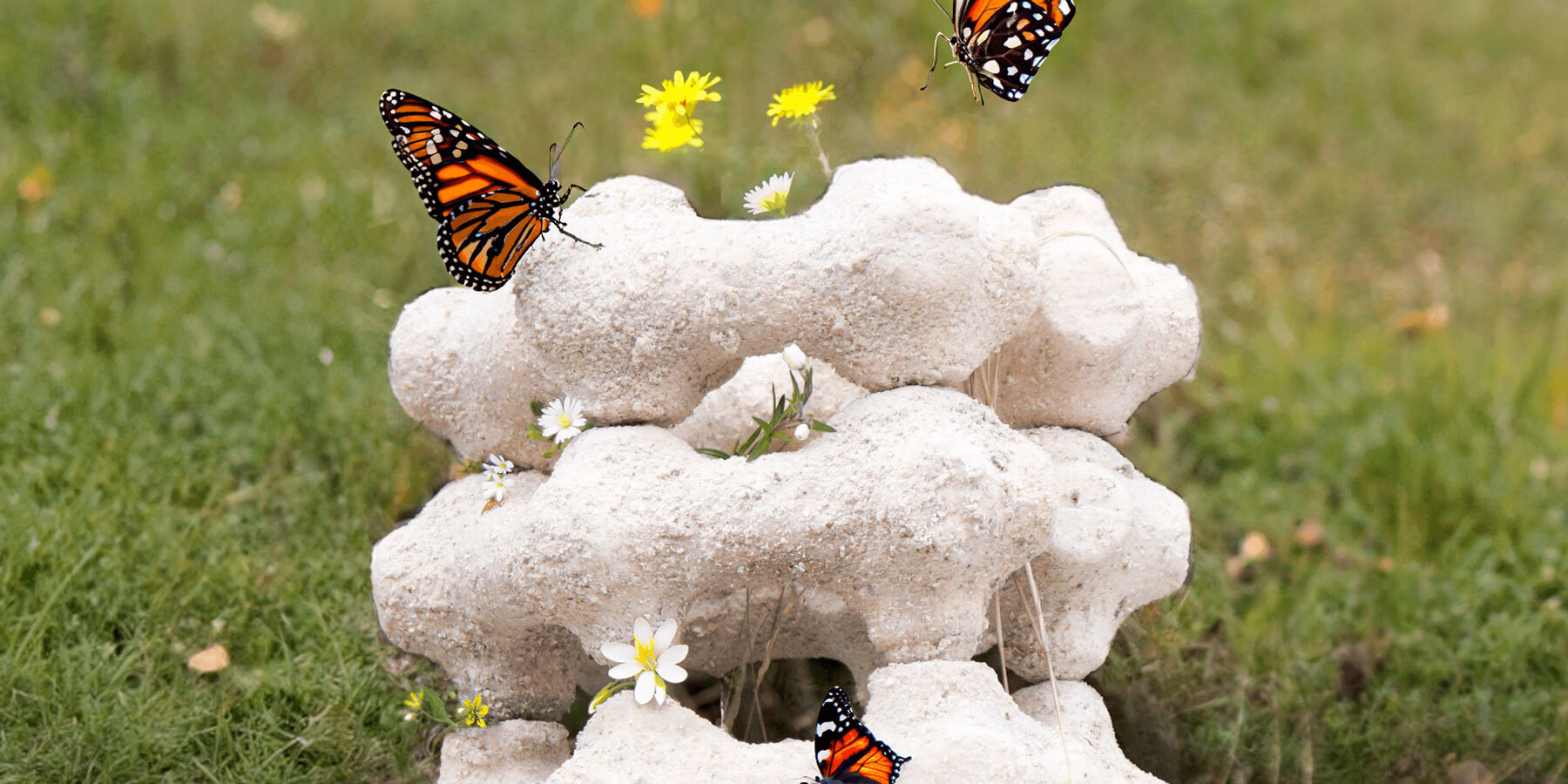 eggnest-sculptural-modular-urban-shelter-butterflies-jayoung-kim-jungmin-park-chaewon-lee-designboom-1800-1