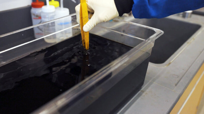 La tela más negra plumas super negras