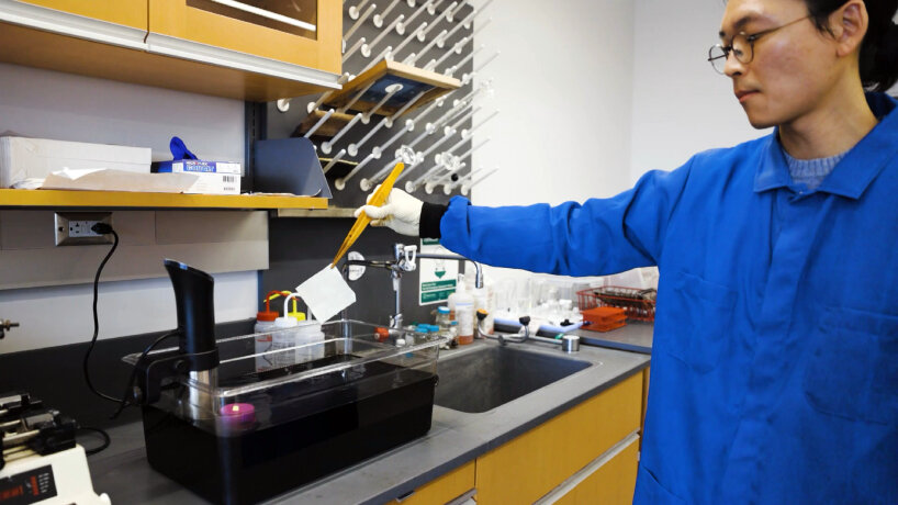 La tela más negra plumas super negras