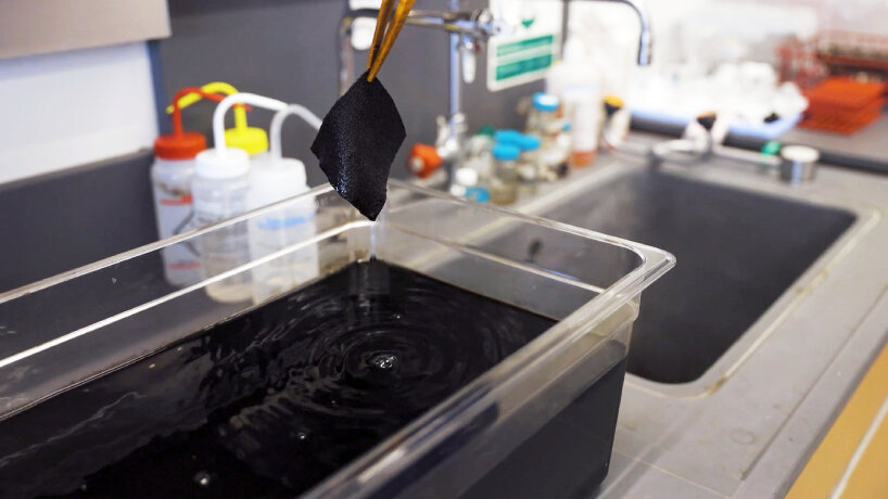 La tela más negra plumas super negras