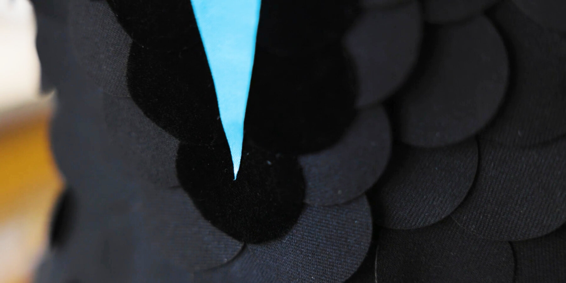 how-bird-ultrablack-feathers-researchers-darkest-fabric-ever-made-cornell-university-designboom-ban