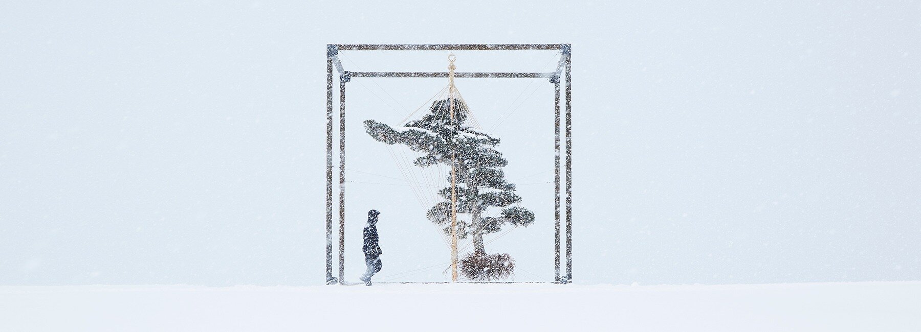 imgi_49_azuma-makoto-shiki-tou-hanging-pine-tree-hokkaido-designboom-1800