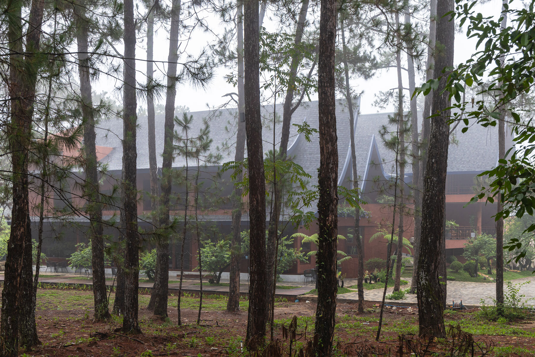 ma-de-bistro-an-nam-design-build-pine-forest-vietnam-designboom-1800-3