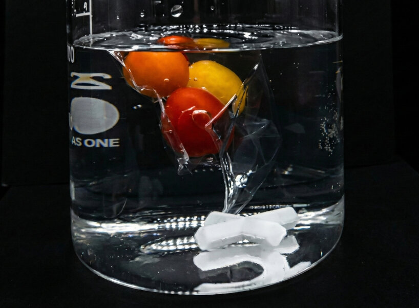 plant-based plastic dissolves