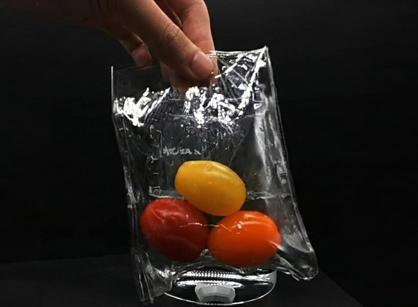 plant-based plastic dissolves