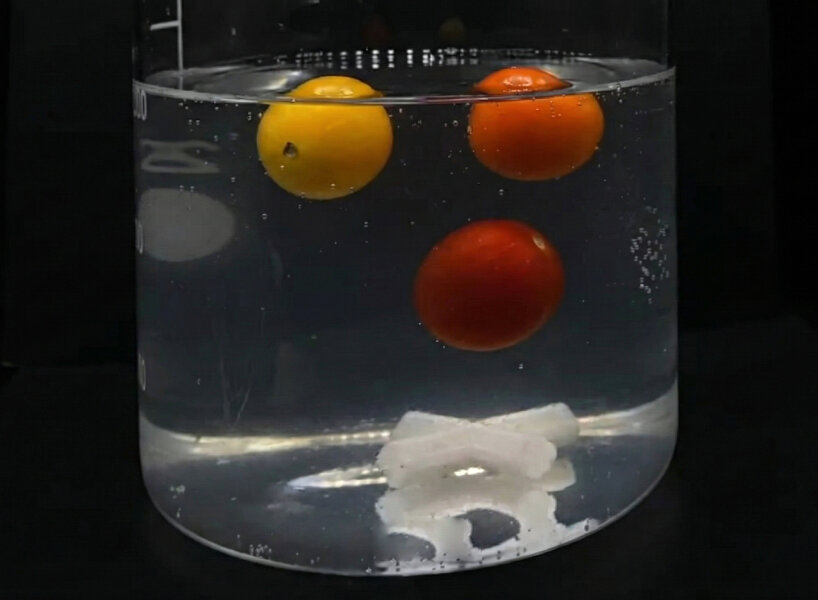 plant-based plastic dissolves