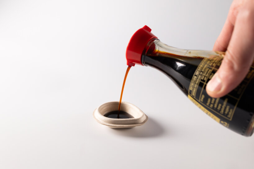 Gotero para pescado con salsa de soja