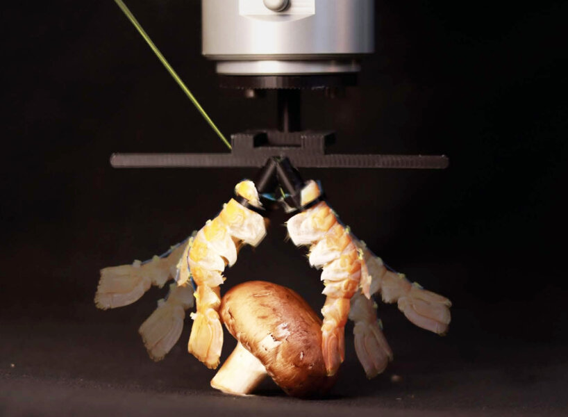 recycle food waste machines