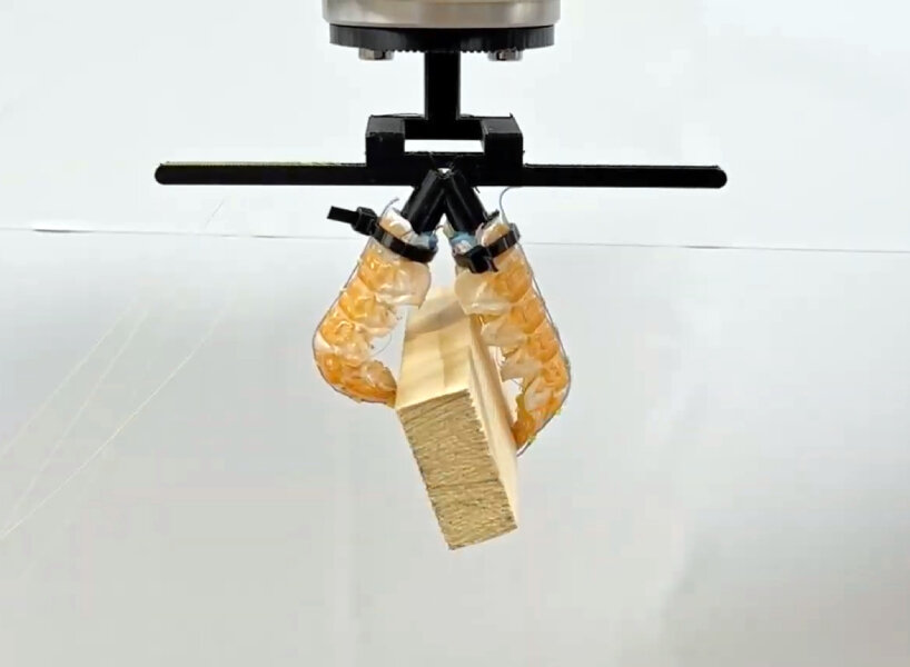 recycle food waste machines