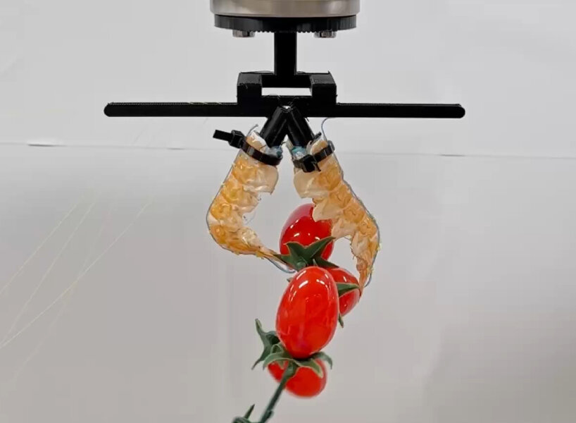 an elastic material inside the shell controls how each segment moves