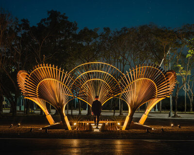 bent wooden beams fan like illuminating petals in cheng tsung feng’s installation in taiwan