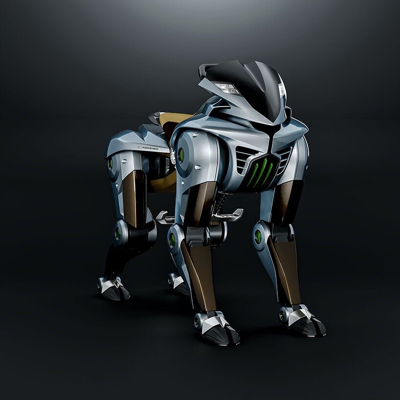 image courtesy of Kawasaki