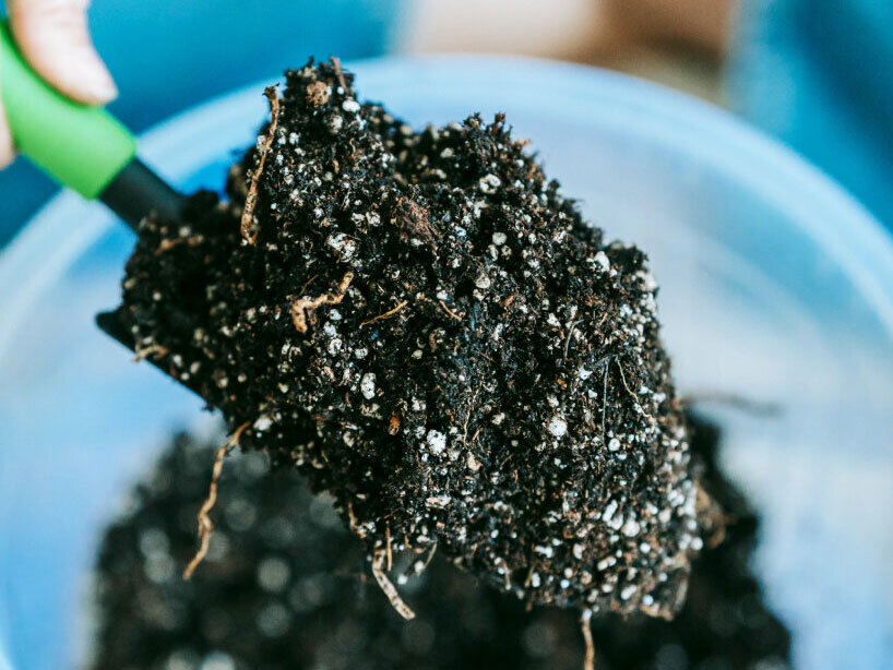 TOP 10 social impact stories of 2025