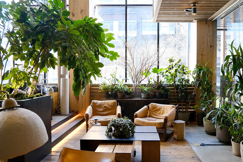 1 hotel brooklyn bridge