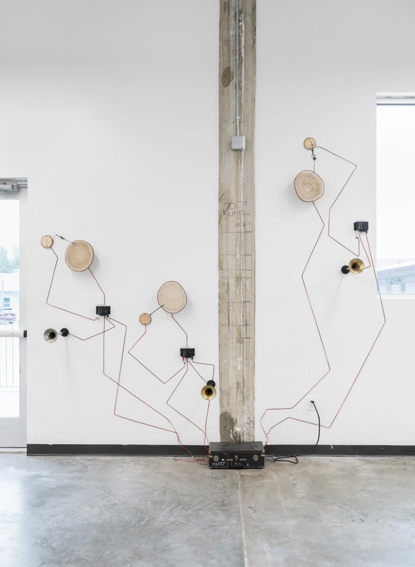 the sound sculptures shown in the exhibition are made directly from the tree itself