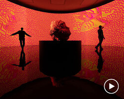 pixel virtual gardens and robotic installations animate miguel chevalier’s solo digital art show