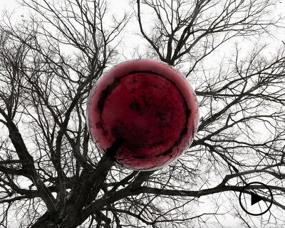 reflective red sphere suspends from tree in gregory orekhov’s land art installation