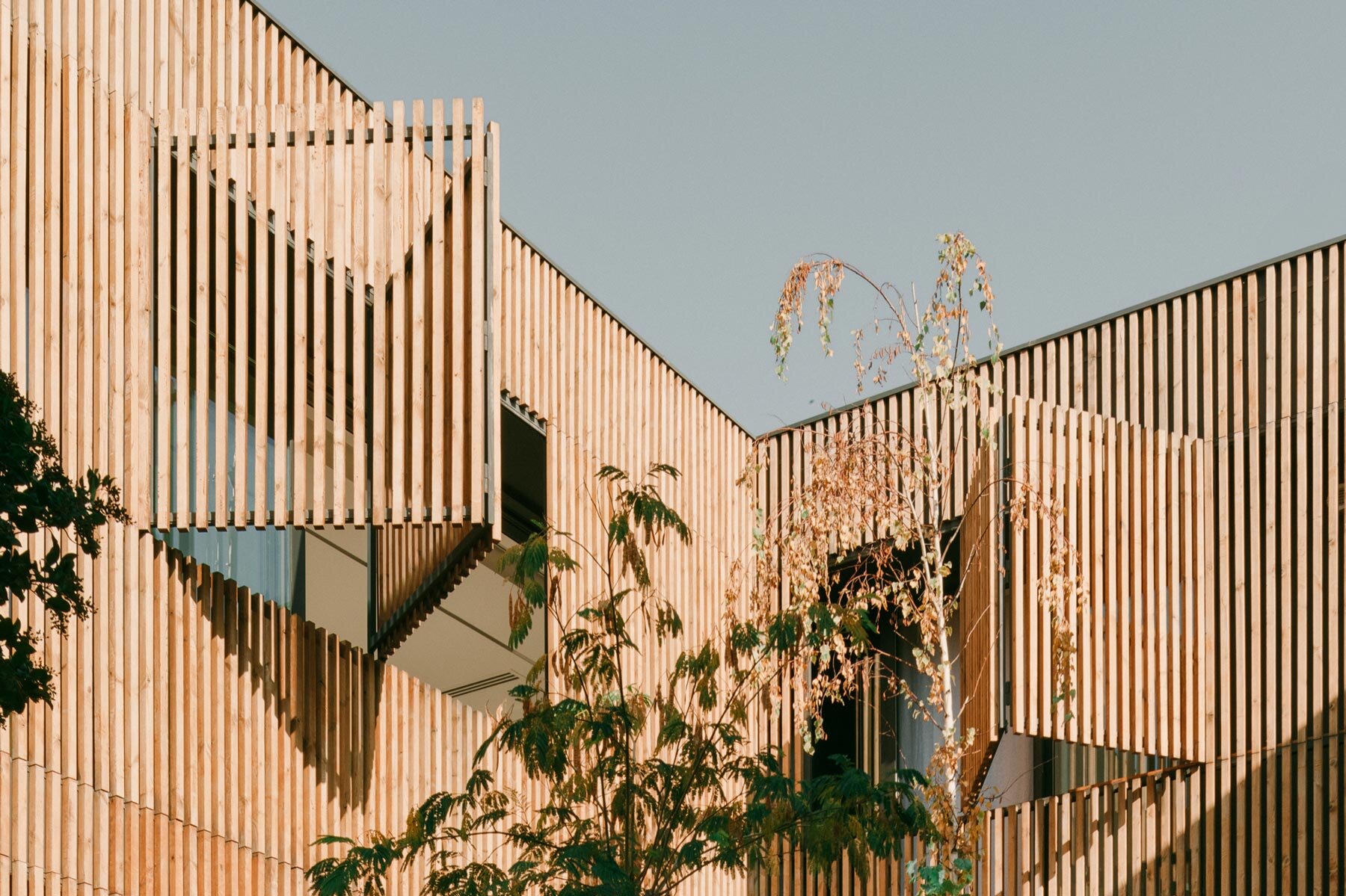 inverted-house-timm-architecture-tbilisi-georgia-designboom-1800-2