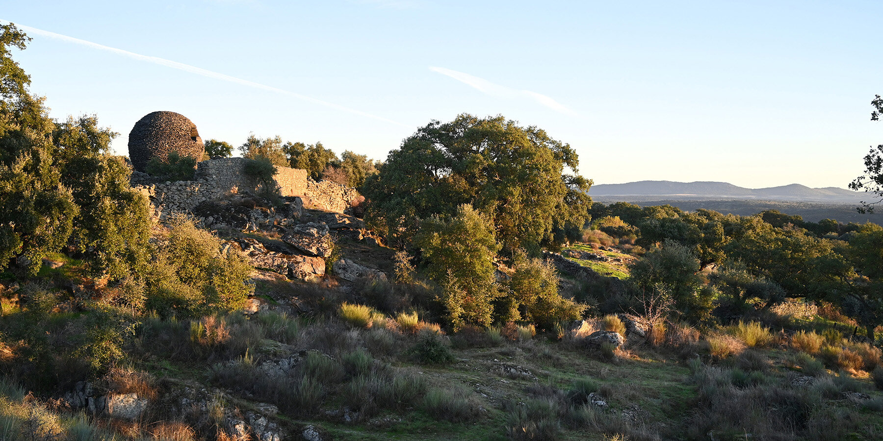 ninho-globo-sphere-atelier-yokyok-portugal-designboom-1800-3