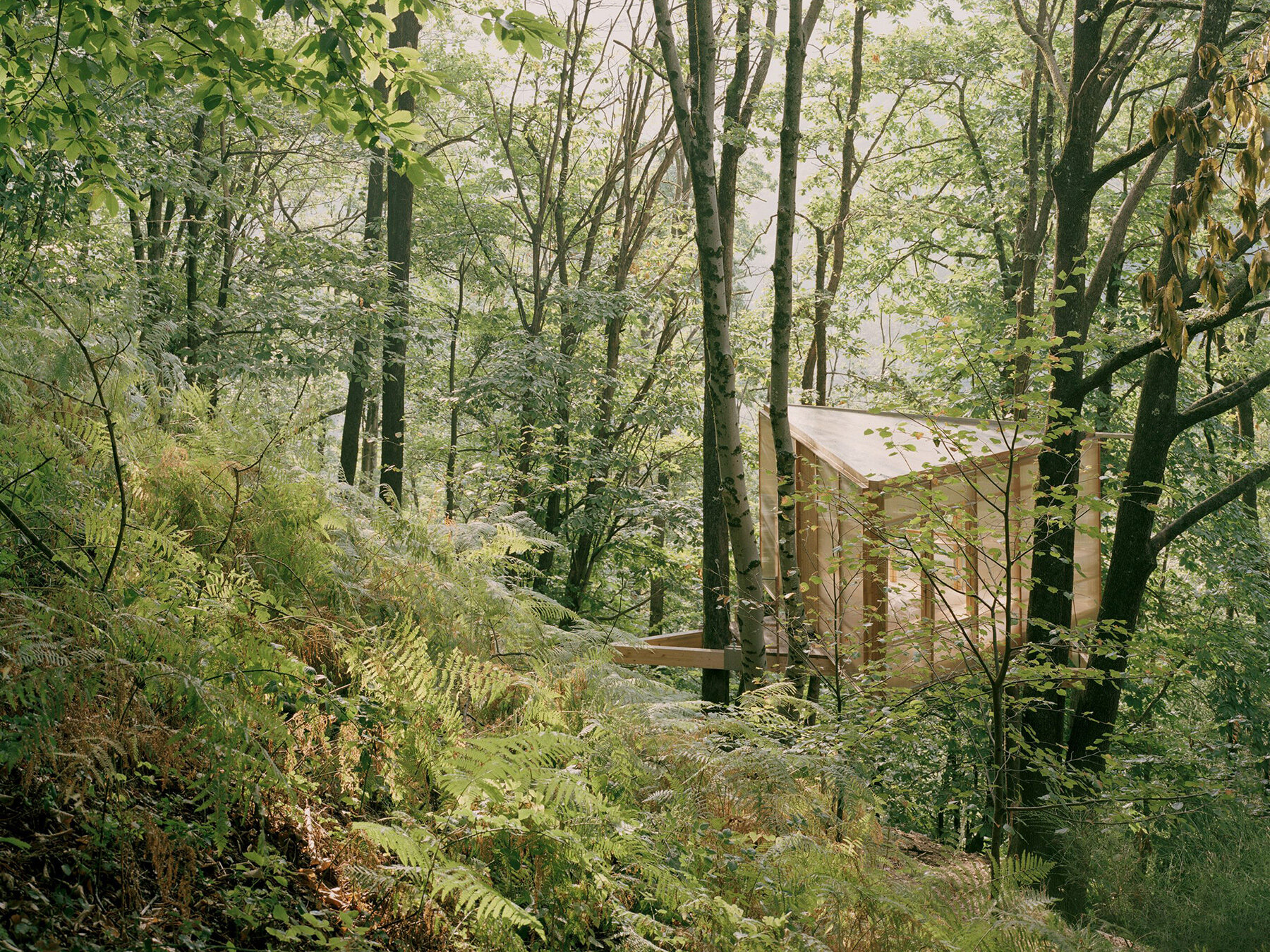 olin-petzold-casetta-tessino-treehouse-switzerland-designboom-08a