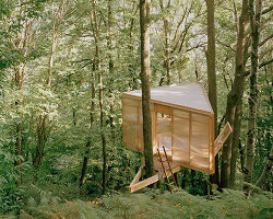 olin petzold hides minimalist 'casetta tessino' treehouse in the woods of switzerland