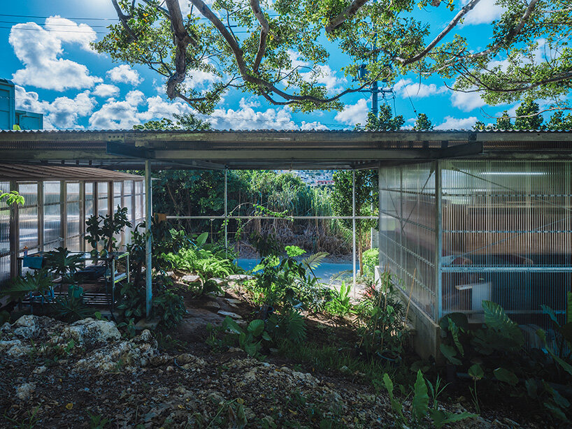 studio cochi architects wraps okinawa workspace in double-skin of insect netting and vinyl