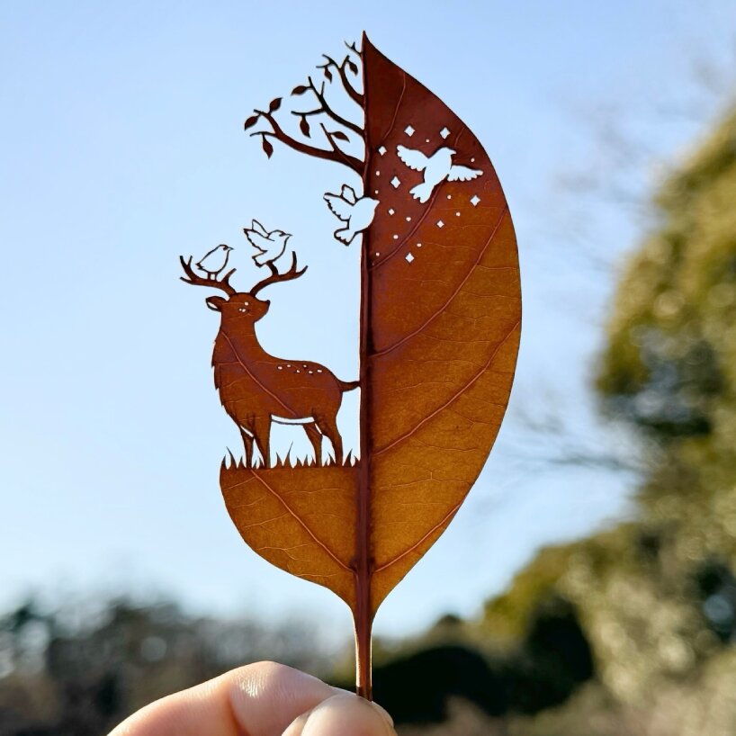 leaf cut-outs lito