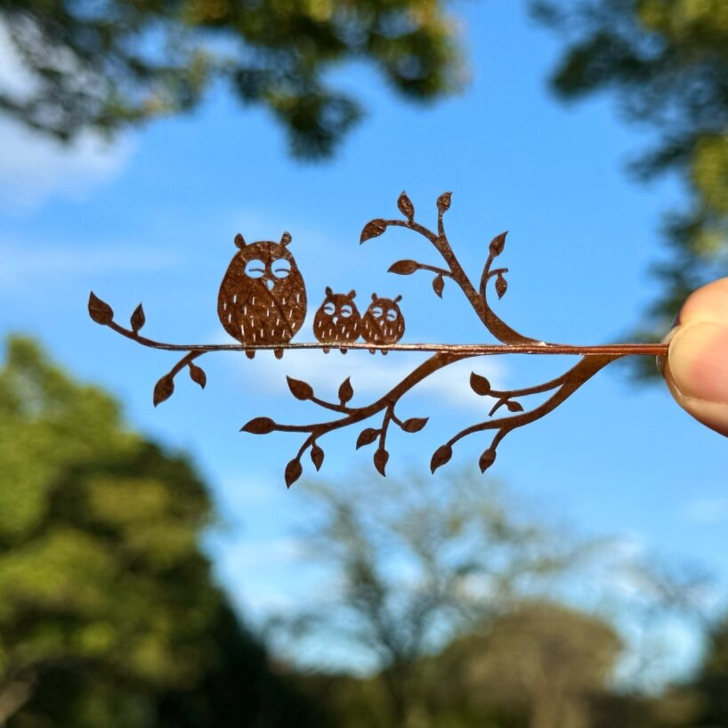 three owls perching on a branch