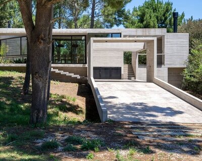 forest home by besonías almeida fits organically around native trees on argentinian coast