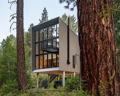 wittman estes perches modern cabin among the trees along washington's wenatchee river