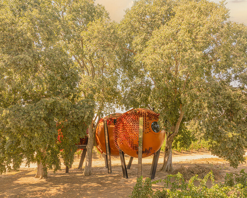 &Aacute;tomos rebelo de andrade