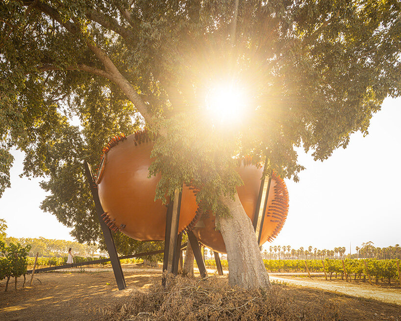 &Aacute;tomos rebelo de andrade