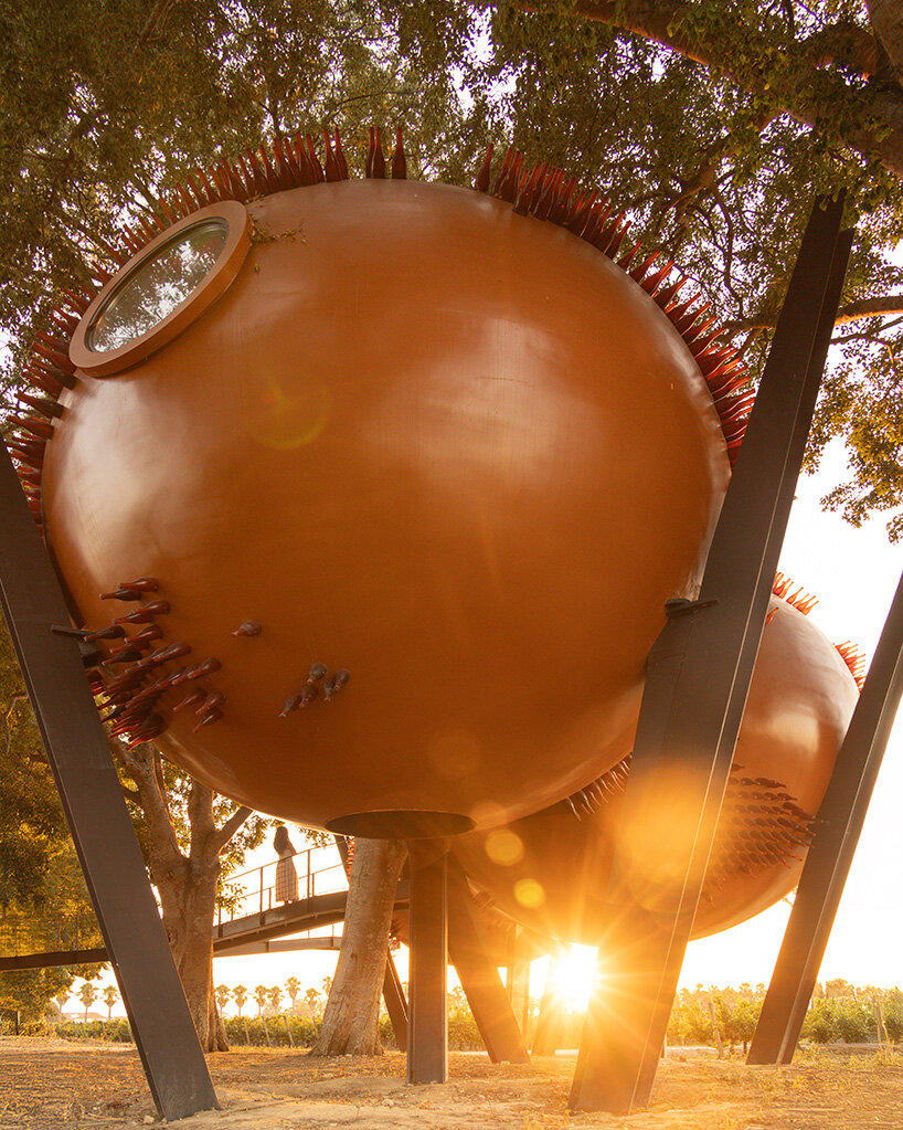 &Aacute;tomos rebelo de andrade