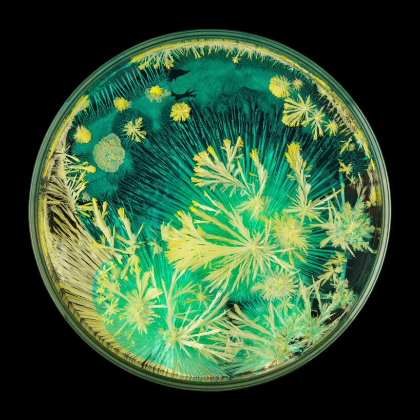 these minerals create scenic landscapes brought about by their own courses