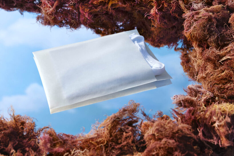 compostable plastic bags seaweed