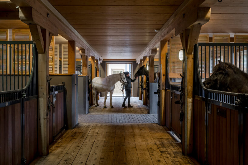 curved cabins show off 180 degree mountain view at sonnenalp resort in southern germany