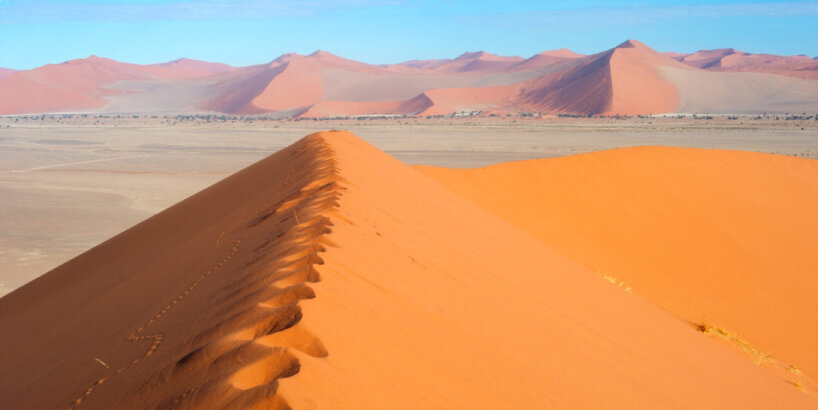 botanical cement desert sand