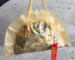 dumpling bag crafted from translucent leather can carry snacks and personal accessories