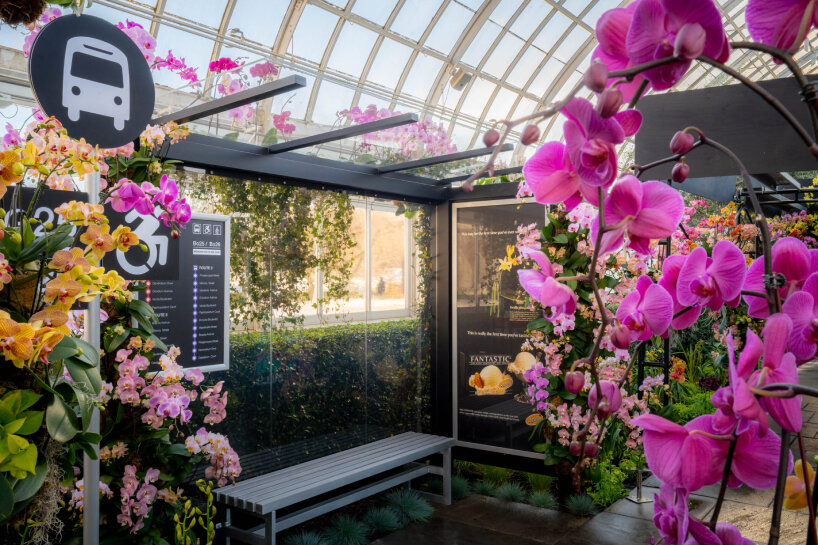 orchid exhibition new york