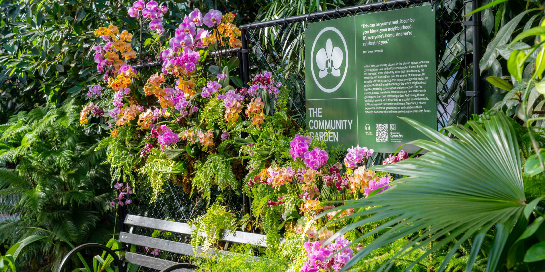 immersive-orchid-flora-landscapes-new-york-city-nybg-flower-fantastic-designboom-ban2