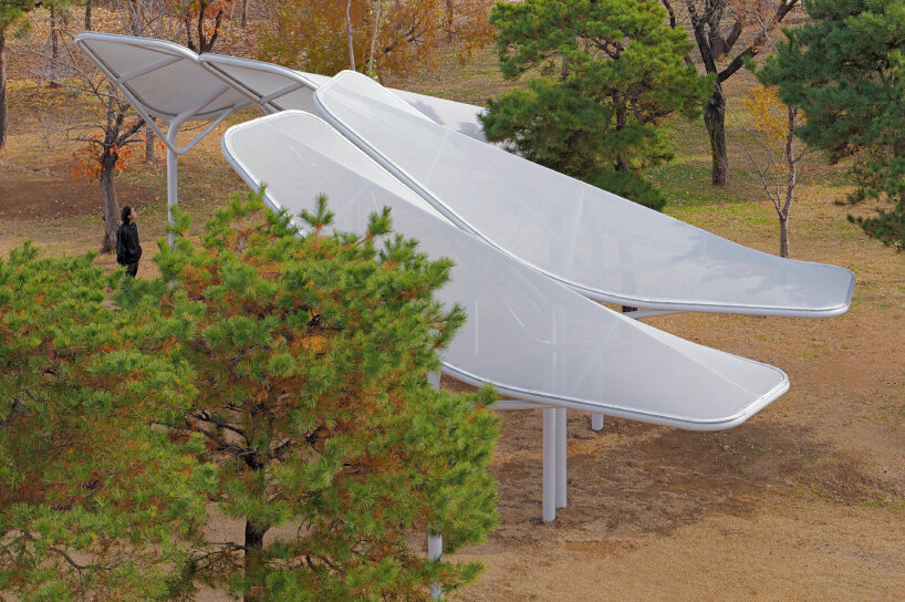 installative seoul wing sunshades
