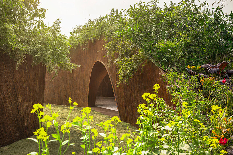 living canopy of native plants tops aranyani's upcycled lantana pavilion in india
