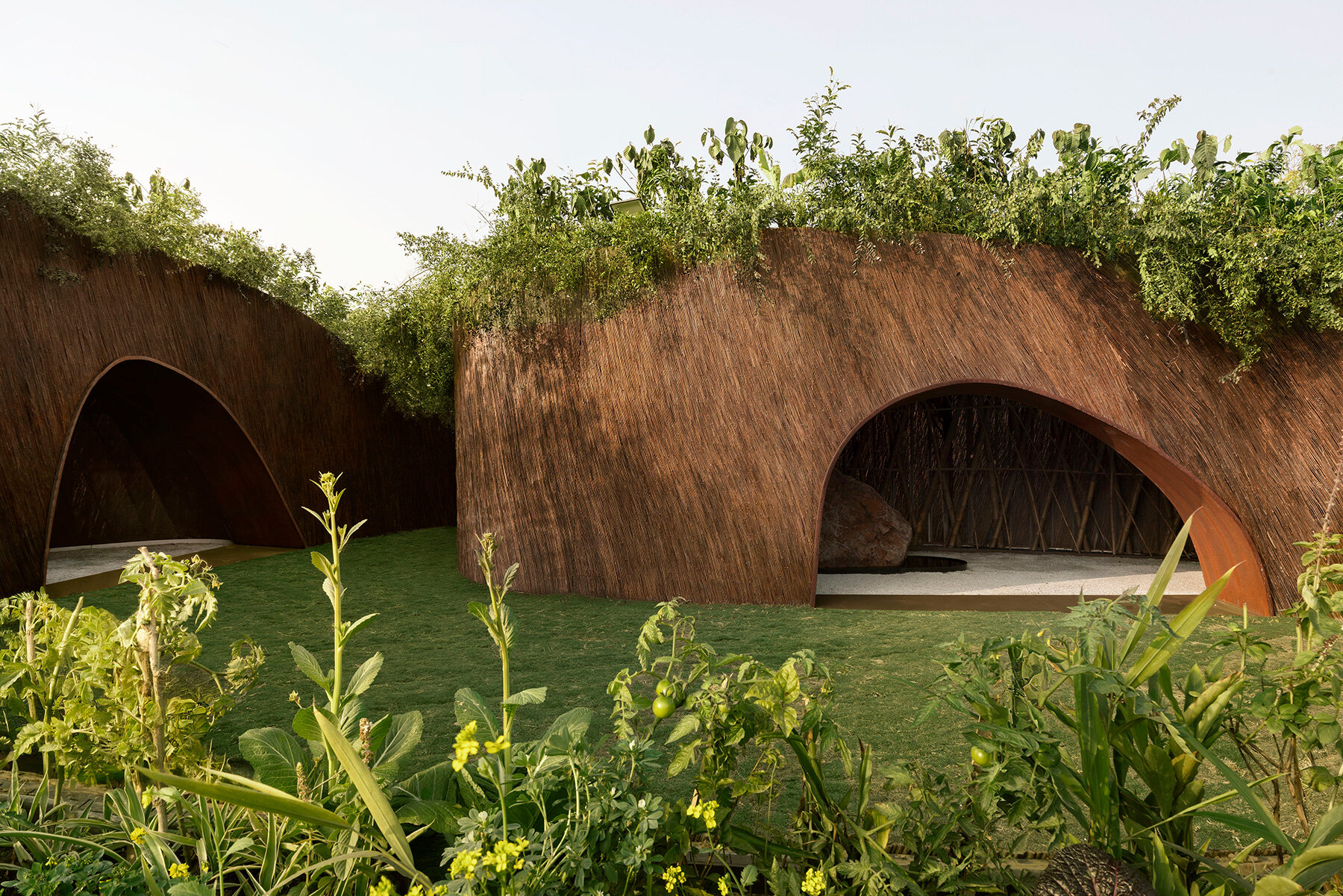 living-canopy-native-plants-aranyani-upcycled-lantana-pavilion-india-t-m-space-designboom-large01