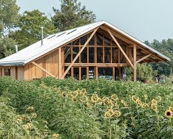 net-zero timber pavilion powers local non-profit farm in massachusetts
