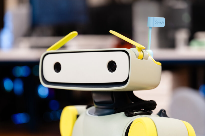 view of the antenna eyebrows and facial displays