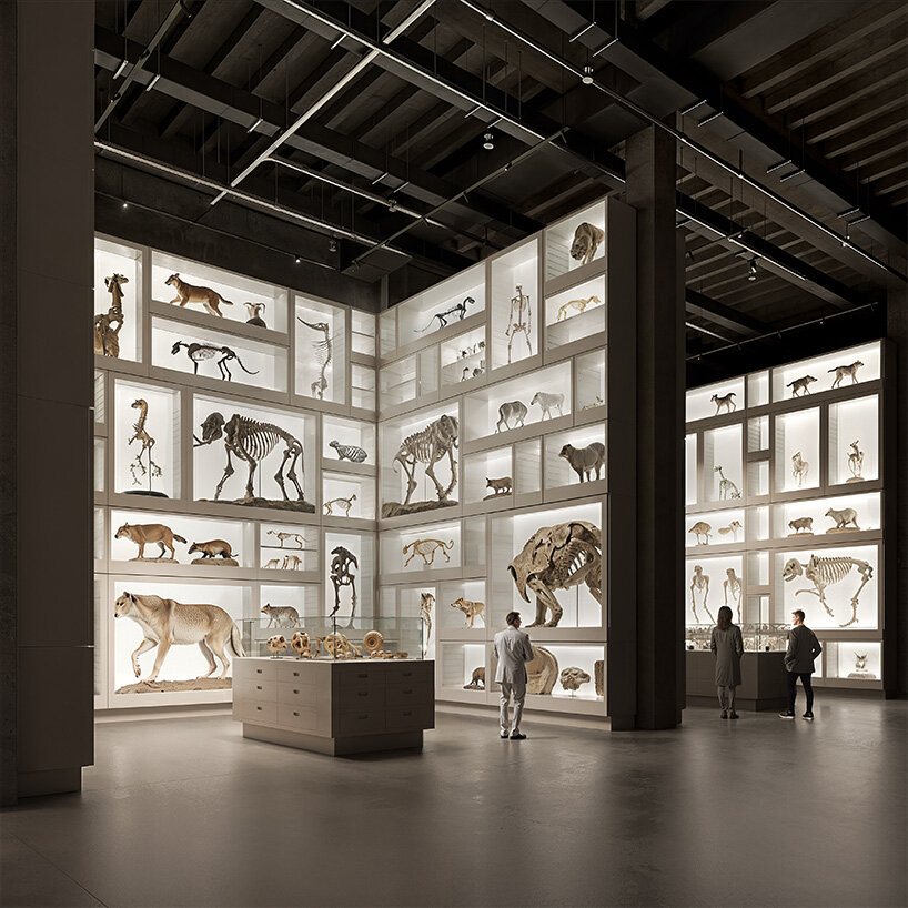 sordo madaleno to design new collection centre for hungarian museum of natural history