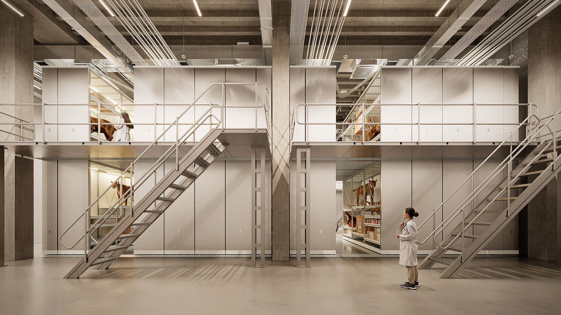 sordo-madaleno-new-collection-centre-hungarian-museum-natural-history-epitesz-studio-buro-happold-designboom-large01