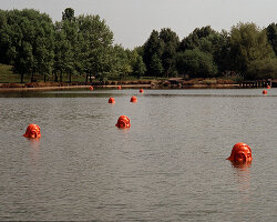 venice art biennale 2026 curatorial team shares details as koyo kouoh's vision moves forward